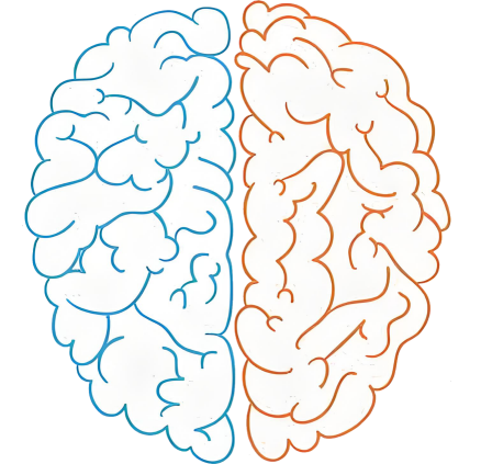 Brain Image